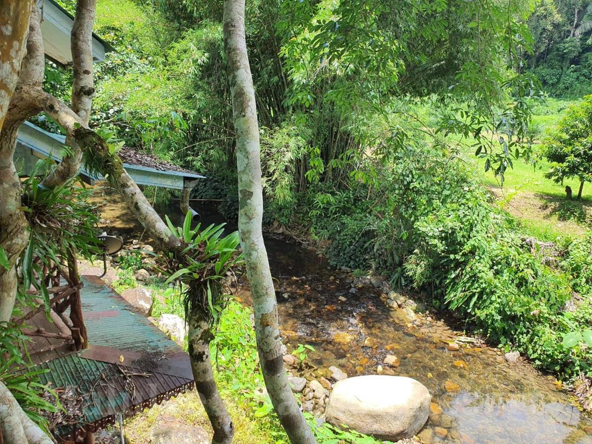 Malulee Khaosok Resort Khao Sok National Park Exterior foto