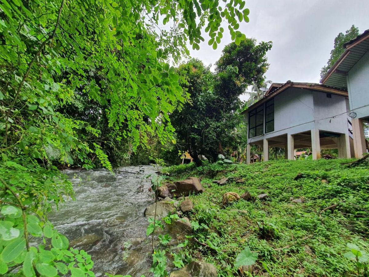 Malulee Khaosok Resort Khao Sok National Park Exterior foto