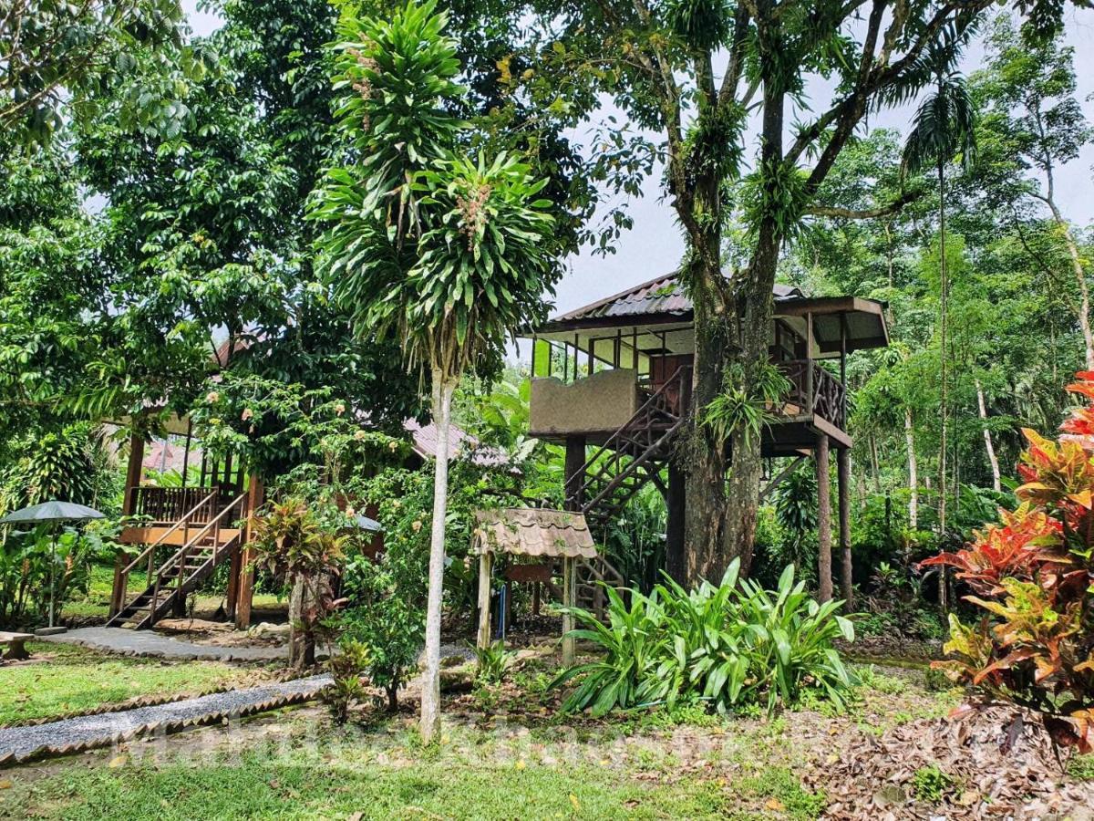 Malulee Khaosok Resort Khao Sok National Park Exterior foto