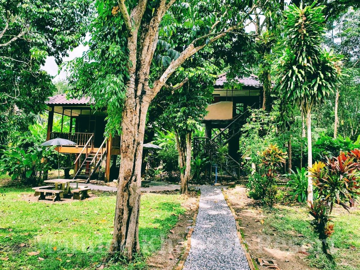 Malulee Khaosok Resort Khao Sok National Park Exterior foto